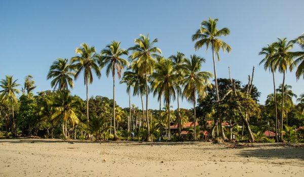 Cestopis Kostarika - Manuel Antonio