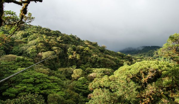 Cestopis Kostarika - Monteverde