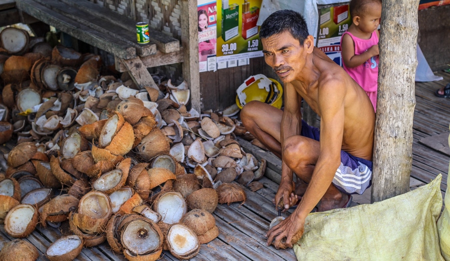 Filipíny - Bohol - Kokosy
