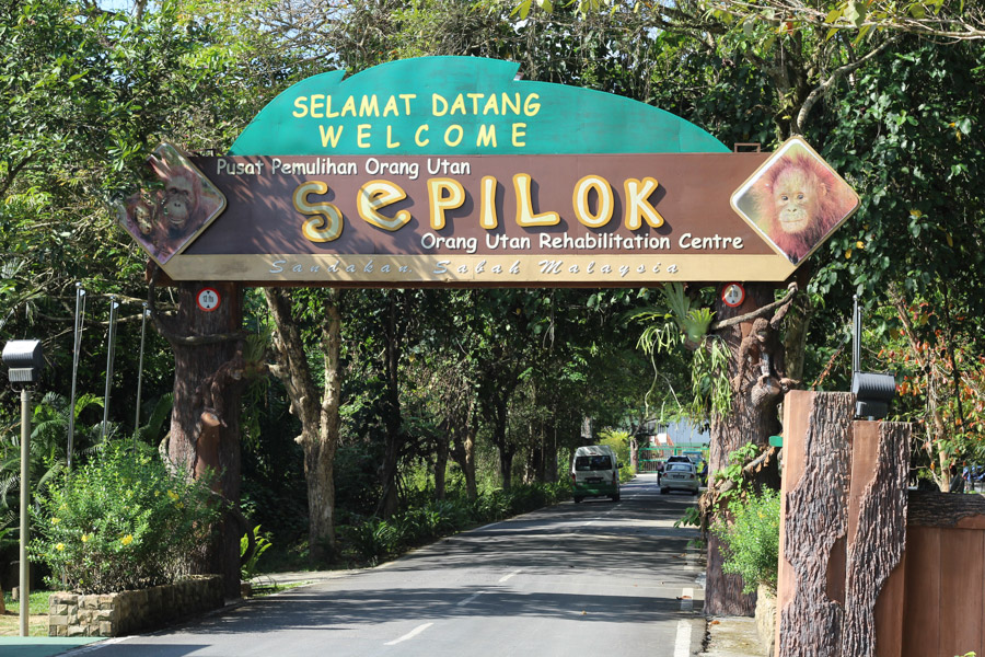 Cestopis Borneo - Sepilok Oran Gutan Rehabilitation Centre