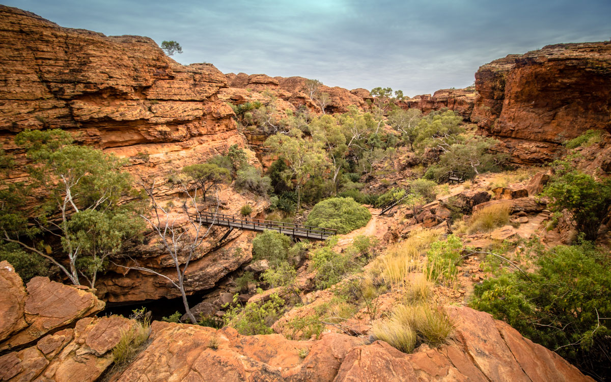 Cestopis Austrálie - Kings Canyon