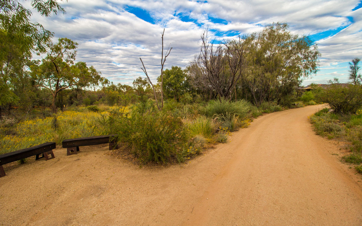 Cestopis Austrálie - Alice Springs