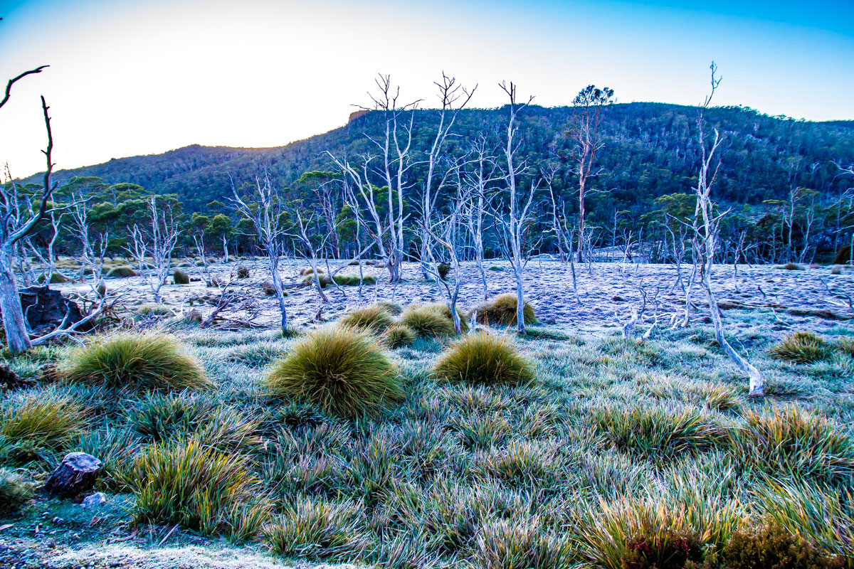 Cestopis Tasmánie - 4. den - Cradle Mountain